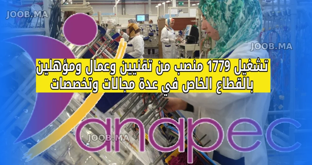 الوكالة الوطنية لإنعاش التشغيل والكفاءات: تشغيل 1779 منصب من تقنيين وعمال ومؤهلين بالقطاع الخاص في عدة مجالات وتخصصات وبعدة مدن
